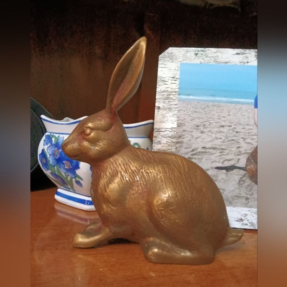 Pure Brass Rabbit Heavy